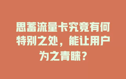 思蓄流量卡究竟有何特别之处，能让用户为之青睐？