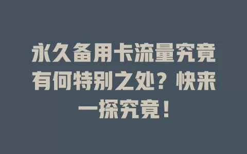 永久备用卡流量究竟有何特别之处？快来一探究竟！