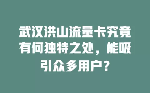 武汉洪山流量卡究竟有何独特之处，能吸引众多用户？