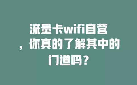 流量卡wifi自营，你真的了解其中的门道吗？