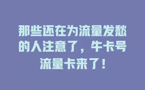 那些还在为流量发愁的人注意了，牛卡号流量卡来了！