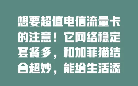 想要超值电信流量卡的注意！它网络稳定套餐多，和加菲猫结合超妙，能给生活添便利乐趣，满足不同流量需求，让你时刻享便捷欢乐