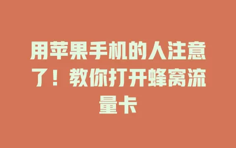 用苹果手机的人注意了！教你打开蜂窝流量卡