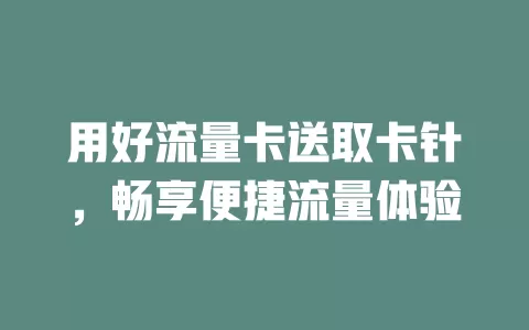 用好流量卡送取卡针，畅享便捷流量体验