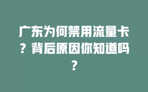 广东为何禁用流量卡？背后原因你知道吗？