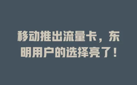 移动推出流量卡，东明用户的选择亮了！