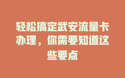 轻松搞定武安流量卡办理，你需要知道这些要点