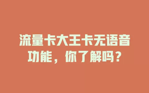 流量卡大王卡无语音功能，你了解吗？