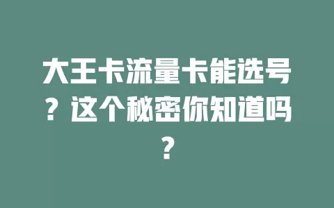 大王卡流量卡能选号？这个秘密你知道吗？