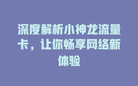 深度解析小神龙流量卡，让你畅享网络新体验