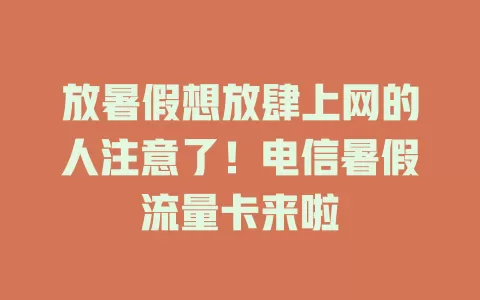 放暑假想放肆上网的人注意了！电信暑假流量卡来啦
