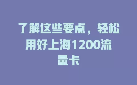 了解这些要点，轻松用好上海1200流量卡