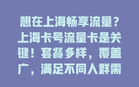 想在上海畅享流量？上海卡号流量卡是关键！套餐多样，覆盖广，满足不同人群需求，助你随时随地连网，拥抱网络无限可能