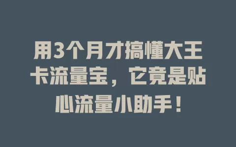 用3个月才搞懂大王卡流量宝，它竟是贴心流量小助手！