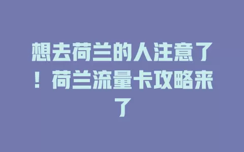 想去荷兰的人注意了！荷兰流量卡攻略来了
