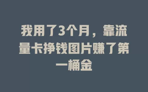 我用了3个月，靠流量卡挣钱图片赚了第一桶金