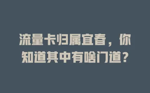 流量卡归属宜春，你知道其中有啥门道？