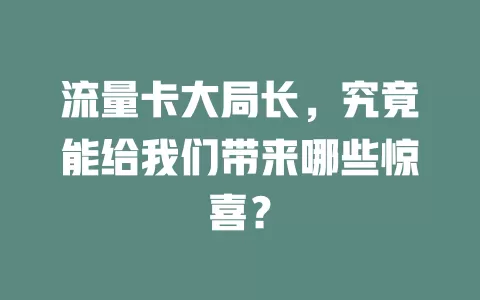 流量卡大局长，究竟能给我们带来哪些惊喜？