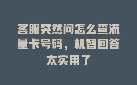 客服突然问怎么查流量卡号码，机智回答太实用了