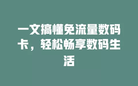 一文搞懂免流量数码卡，轻松畅享数码生活