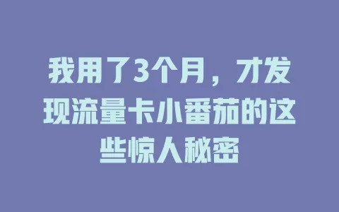 我用了3个月，才发现流量卡小番茄的这些惊人秘密