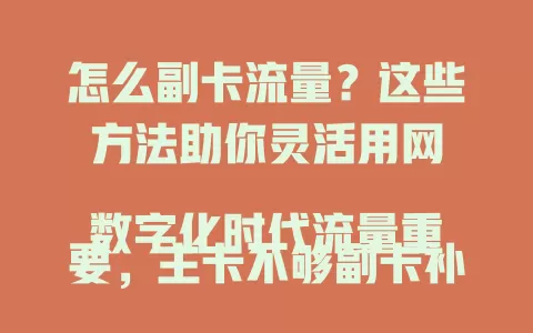 怎么副卡流量？这些方法助你灵活用网

数字化时代流量重要，主卡不够副卡补。先激活副卡，手机设置里切换数据网络，特定应用也能指定走副卡流量，双卡双待双通手机通话时还能用副卡保网络，让数字生活更顺畅