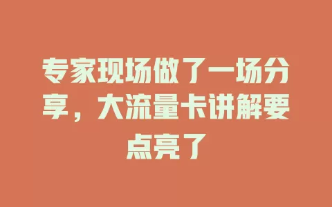 专家现场做了一场分享，大流量卡讲解要点亮了