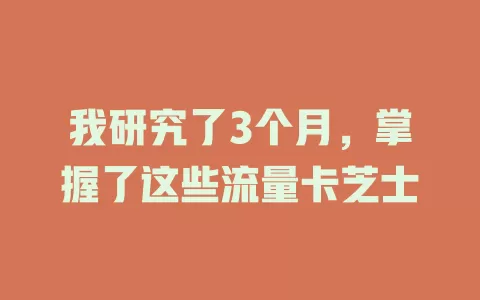 我研究了3个月，掌握了这些流量卡芝士