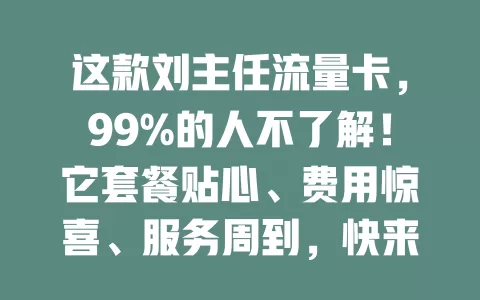 这款刘主任流量卡，99%的人不了解！它套餐贴心、费用惊喜、服务周到，快来探索别样网络体验！