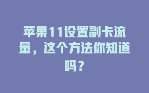苹果11设置副卡流量，这个方法你知道吗？
