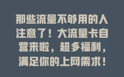 那些流量不够用的人注意了！大流量卡自营来啦，超多福利，满足你的上网需求！