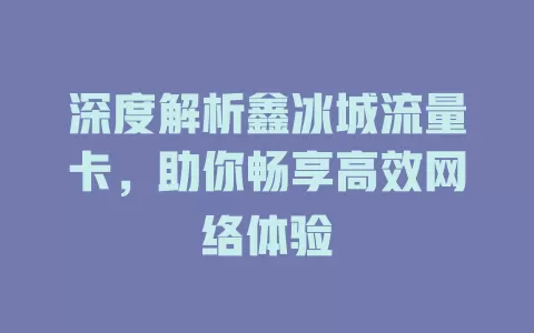 深度解析鑫冰城流量卡，助你畅享高效网络体验