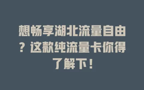 想畅享湖北流量自由？这款纯流量卡你得了解下！