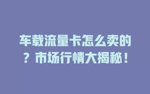 车载流量卡怎么卖的？市场行情大揭秘！