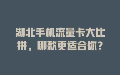 湖北手机流量卡大比拼，哪款更适合你？