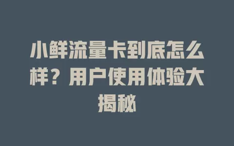 小鲜流量卡到底怎么样？用户使用体验大揭秘