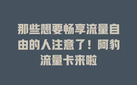 那些想要畅享流量自由的人注意了！阿豹流量卡来啦