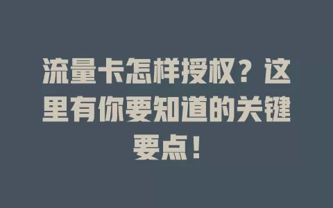 流量卡怎样授权？这里有你要知道的关键要点！