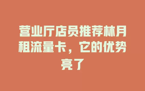 营业厅店员推荐林月租流量卡，它的优势亮了