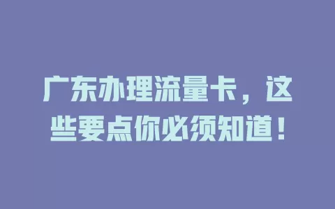 广东办理流量卡，这些要点你必须知道！