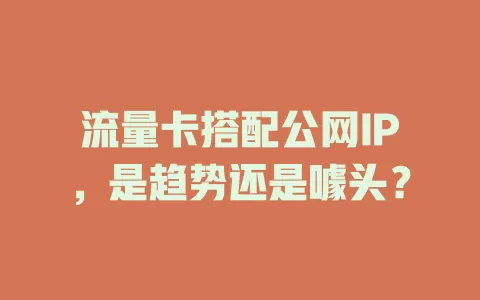 流量卡搭配公网IP，是趋势还是噱头？