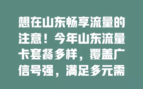 想在山东畅享流量的注意！今年山东流量卡套餐多样，覆盖广信号强，满足多元需求