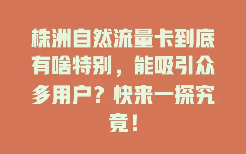 株洲自然流量卡到底有啥特别，能吸引众多用户？快来一探究竟！