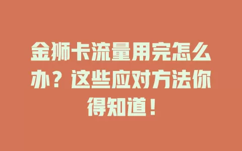 金狮卡流量用完怎么办？这些应对方法你得知道！