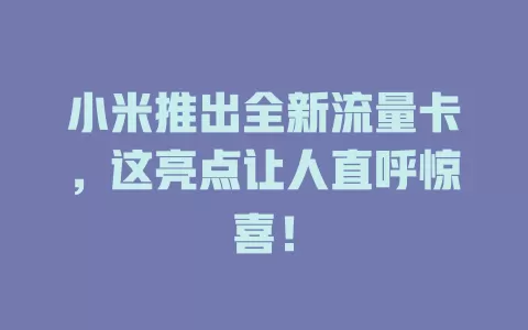 小米推出全新流量卡，这亮点让人直呼惊喜！