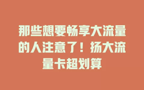 那些想要畅享大流量的人注意了！扬大流量卡超划算