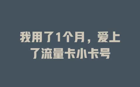 我用了1个月，爱上了流量卡小卡号