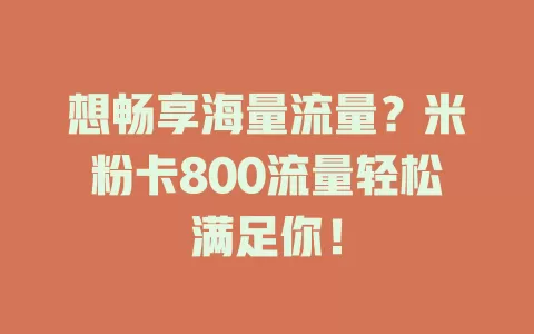 想畅享海量流量？米粉卡800流量轻松满足你！