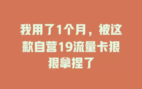 我用了1个月，被这款自营19流量卡狠狠拿捏了