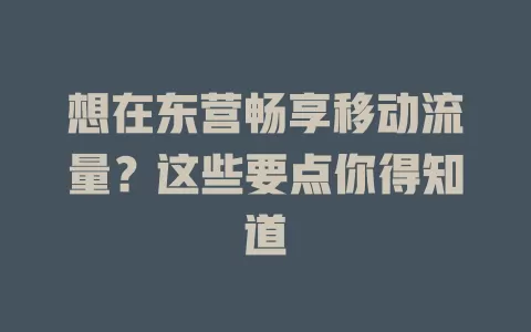 想在东营畅享移动流量？这些要点你得知道